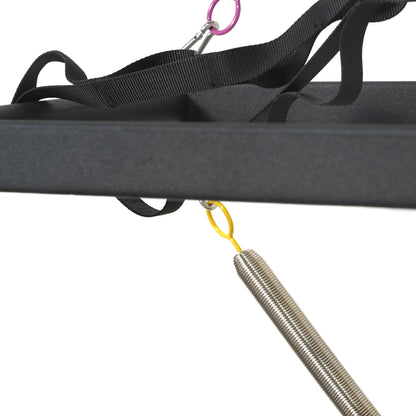 Outer Track with Tower Pilates Reformer- Aluminum